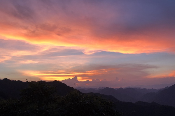 手套机未来市场预测