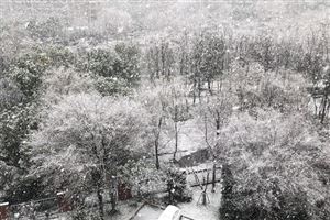 “轻装游”催生羽绒服租赁新业态