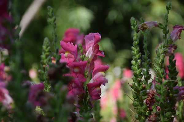 防水防油剂发展历程简介：从无氟到无氟！！！